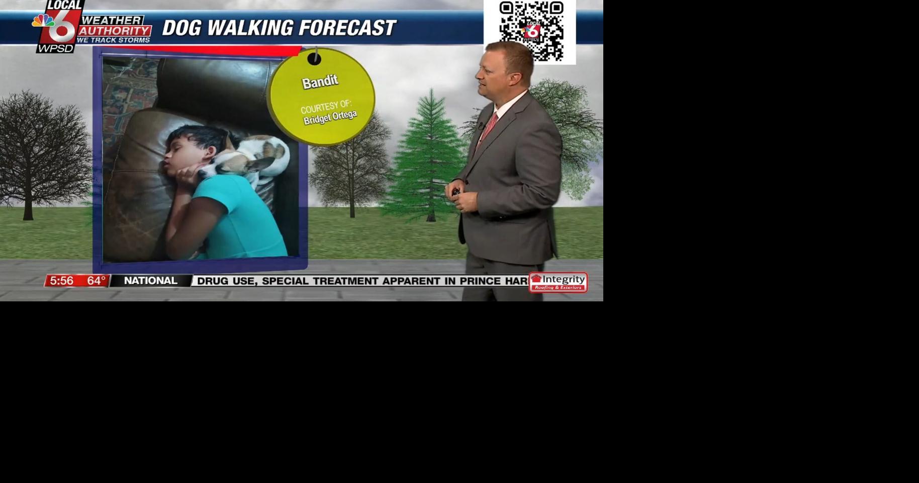 Dog walking forecast 3.19.25 | Weather