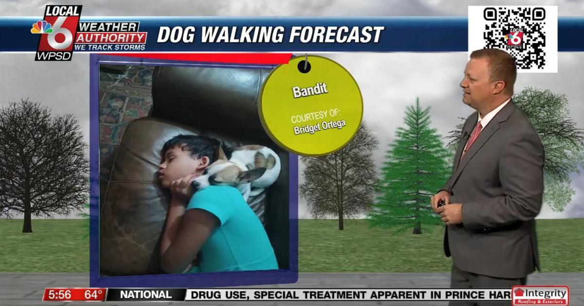 Dog walking forecast 3.19.25 | Weather Dog walking forecast 3.19.25 | Weather