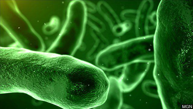 E.coli outbreak reported in west Kentucky, source unknown - WPSD Local 6