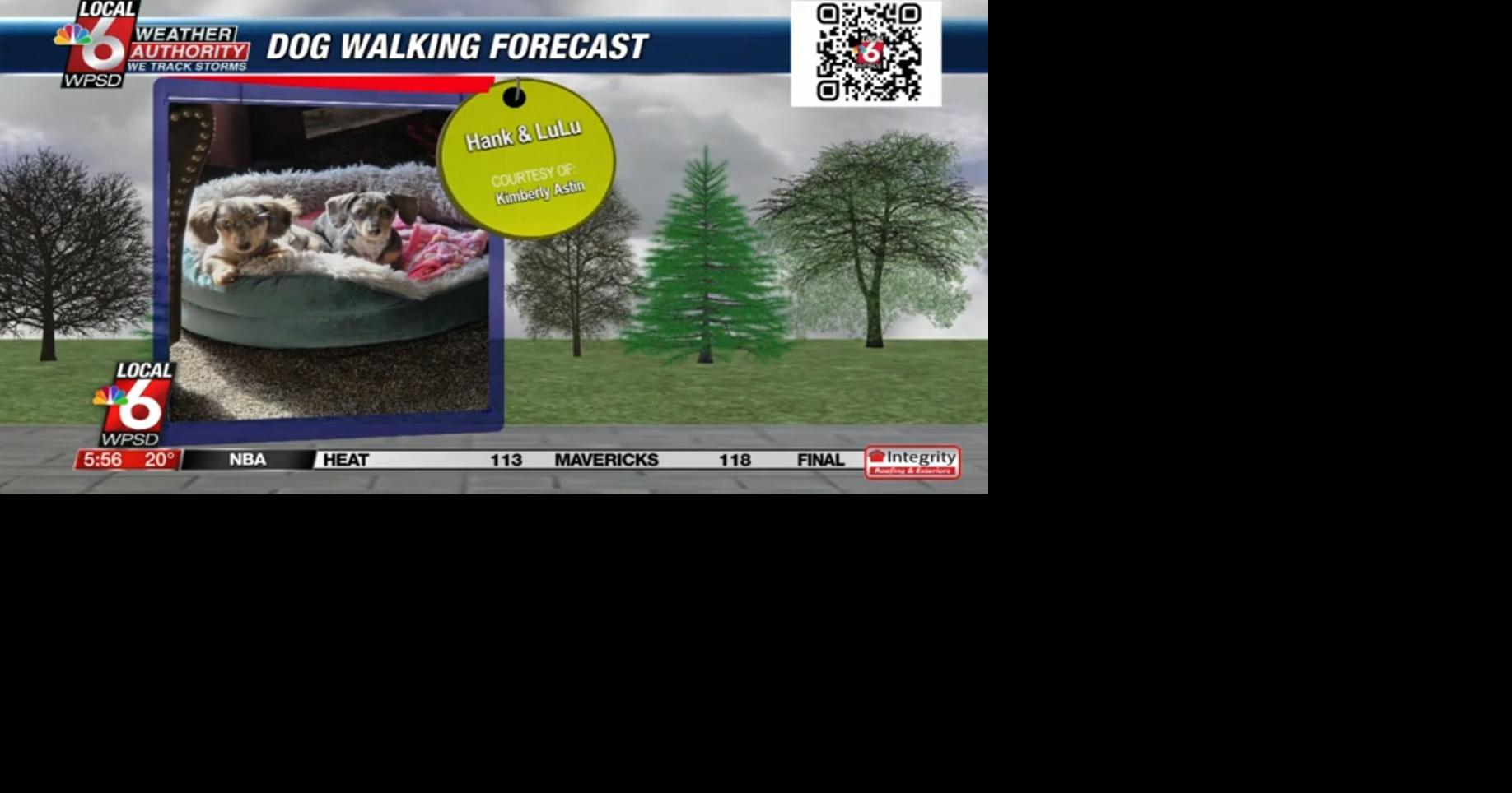 Dog walking forecast 2.14.25 | Weather