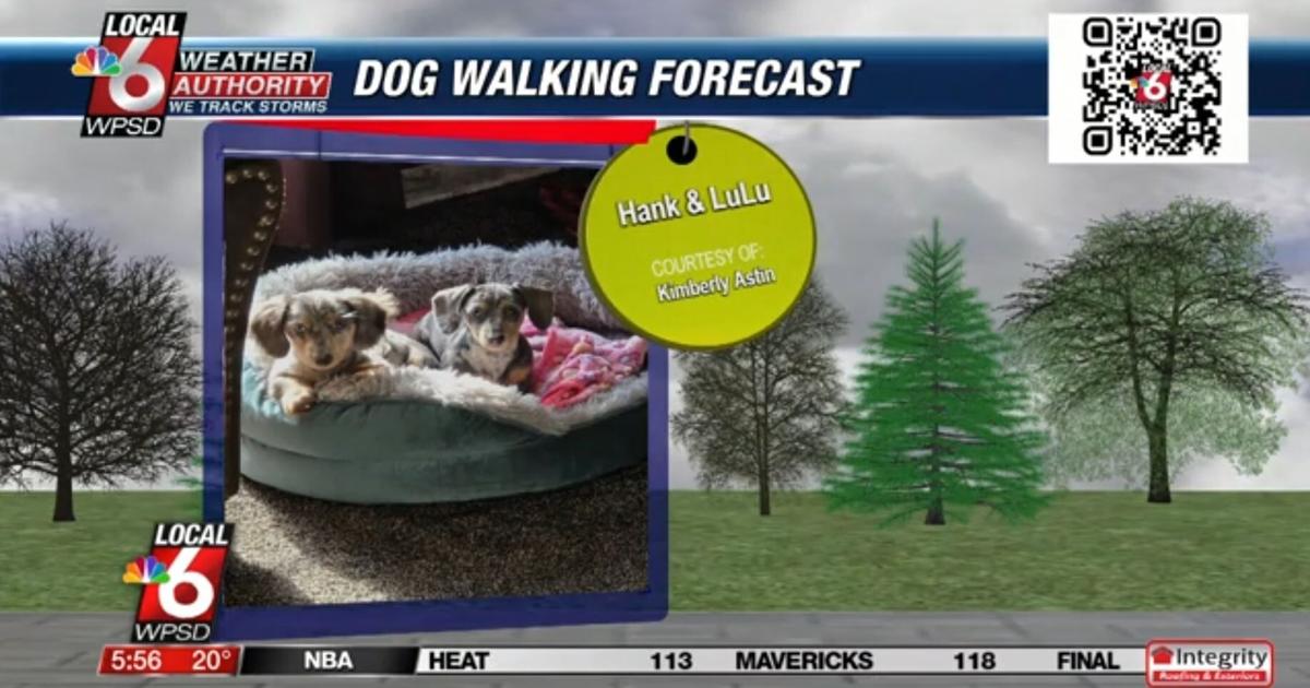 Dog walking forecast 2.14.25 | Weather Dog walking forecast 2.14.25 | Weather