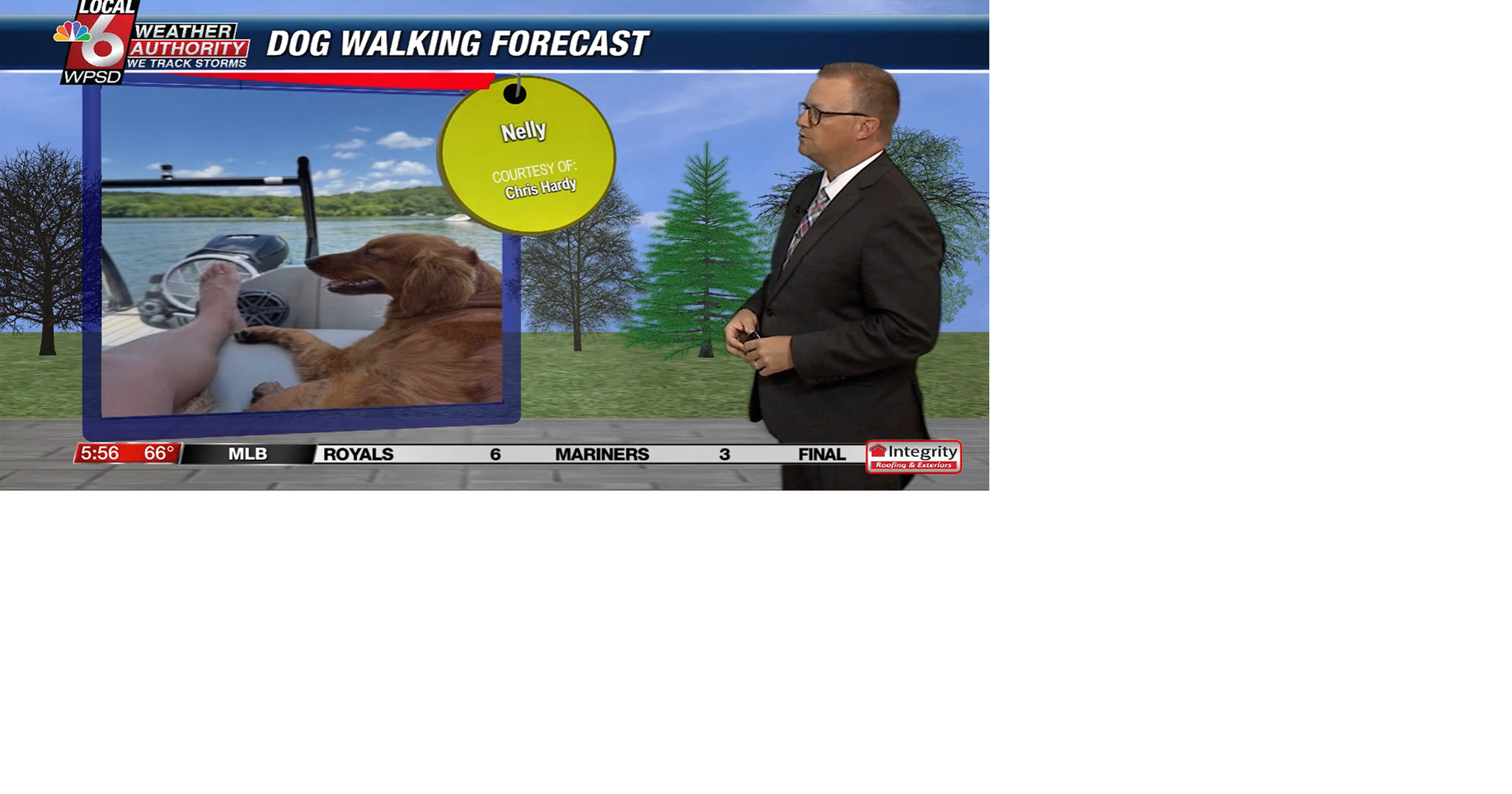 Dog walking forecast 7.2.25