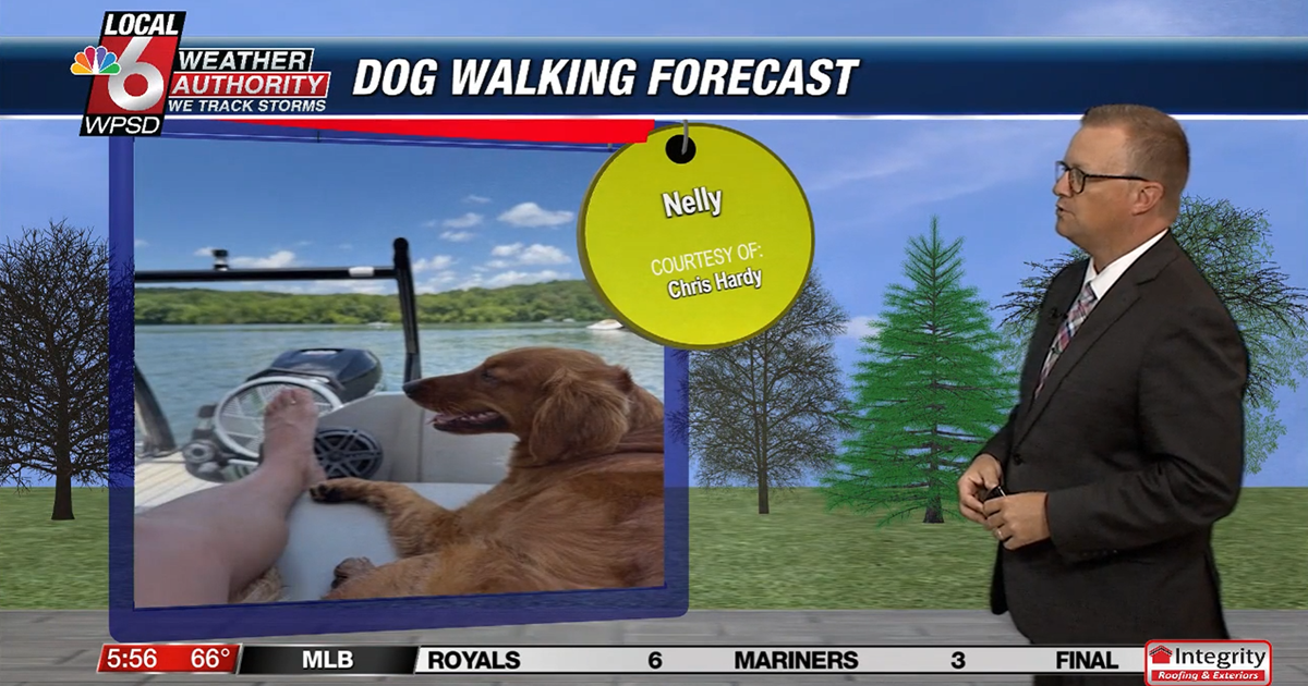 Dog walking forecast 7.2.25 Dog walking forecast 7.2.25