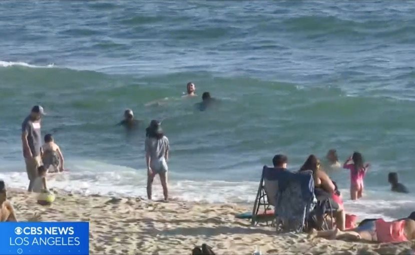 Hundreds of beachgoers rescued - 686ab0e02c356.image 