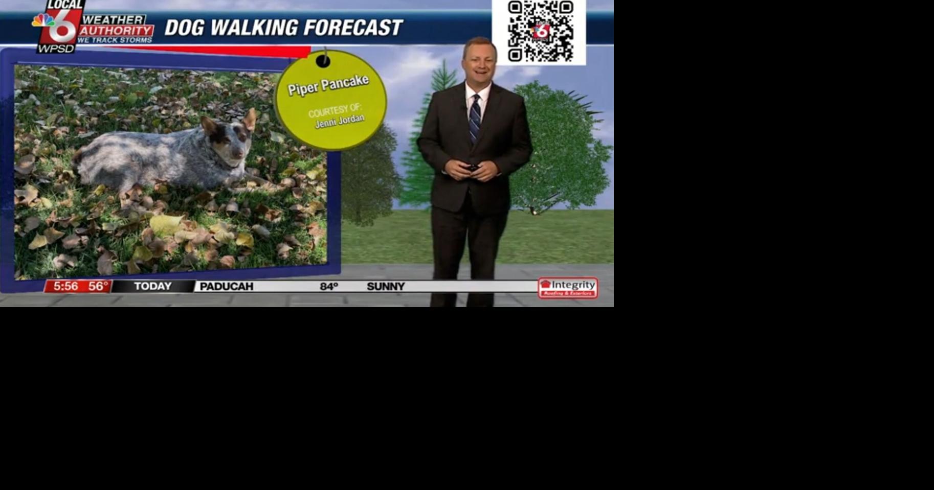 Dog walking forecast 8.22.24 | Weather