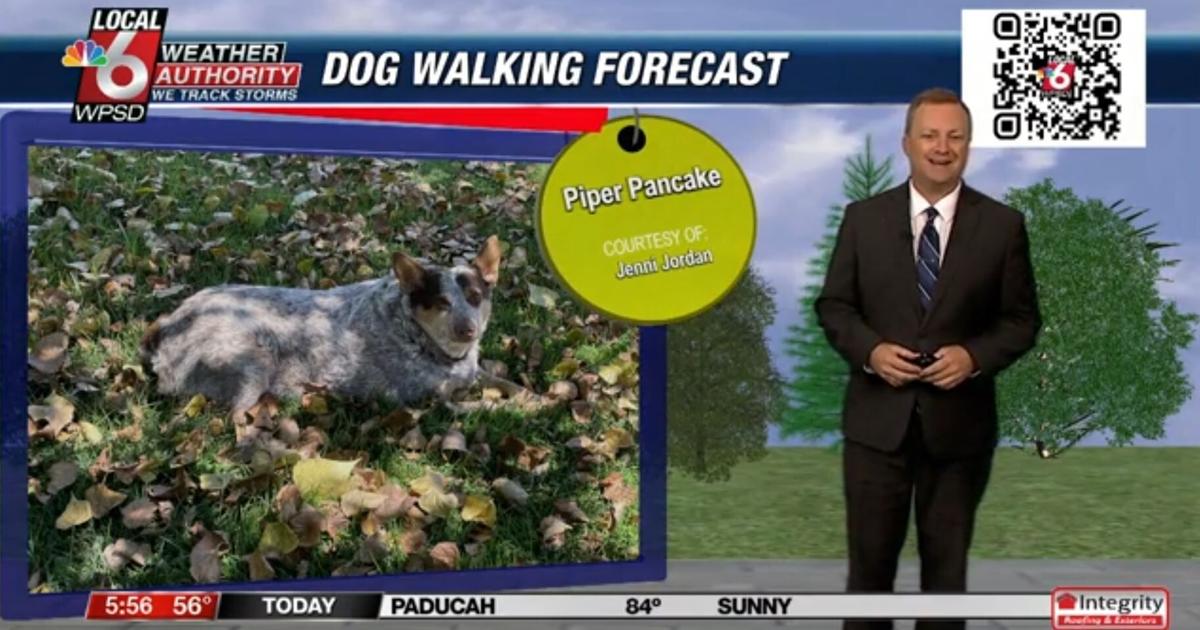 Dog walking forecast 8.22.24 | Weather Dog walking forecast 8.22.24 | Weather