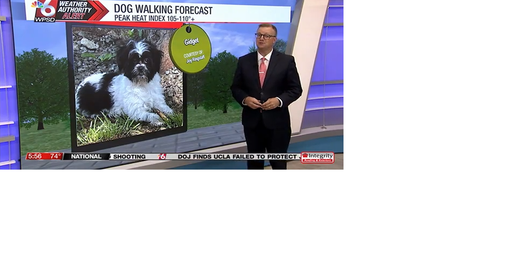 Dog walking forecast 7.30.25