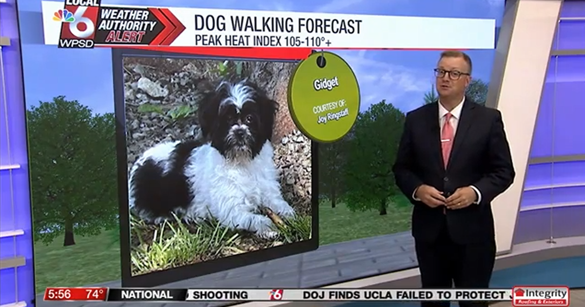 Dog walking forecast 7.30.25 Dog walking forecast 7.30.25