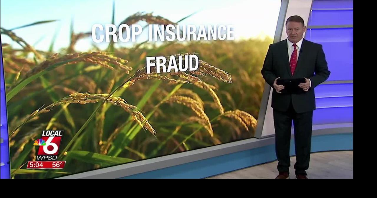 tobacco insurance fraud in kentucky Kentucky farmer sentenced in crop insurance fraud scheme