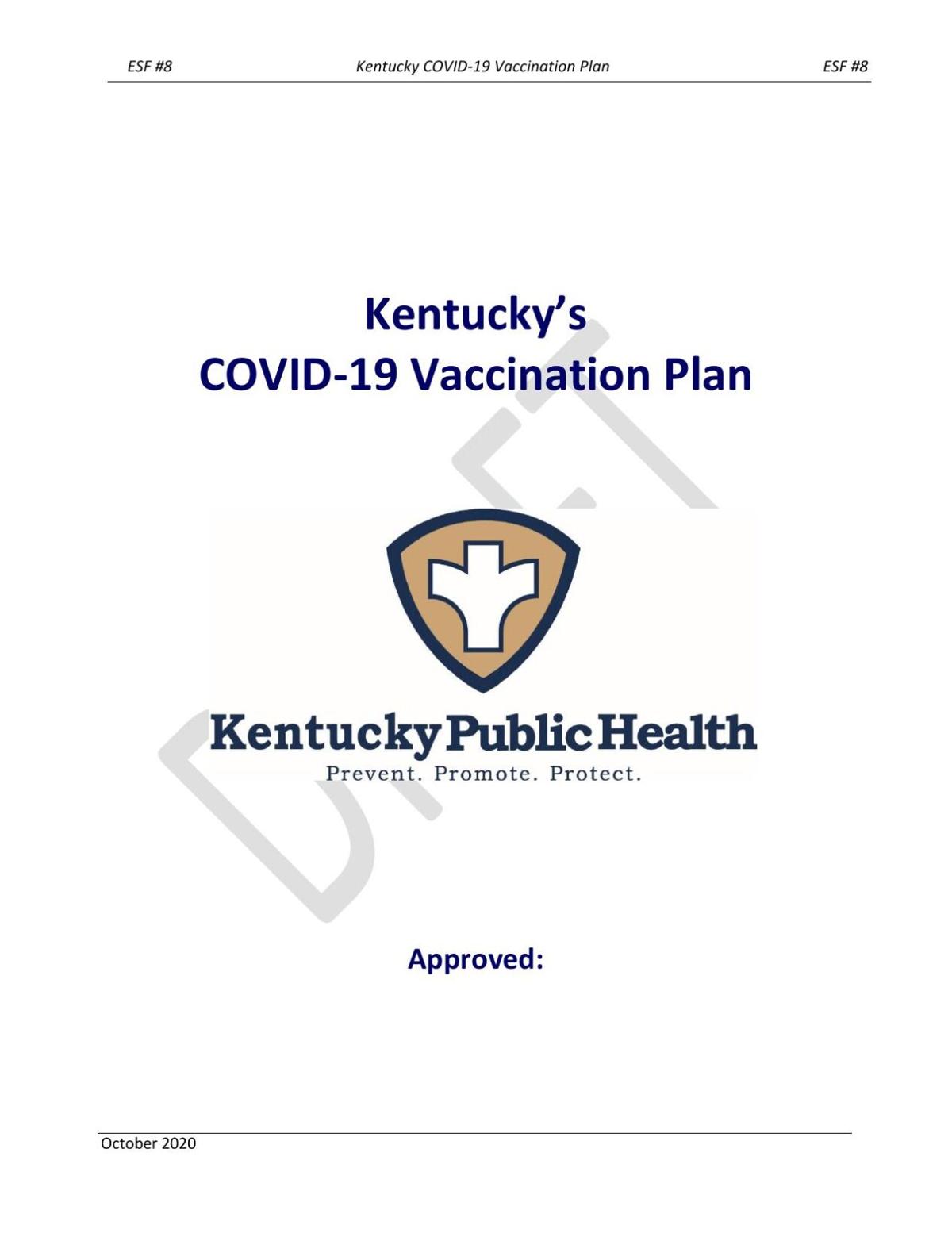 Kentucky releases COVID19 vaccine plan Coronavirus News WPSD Local 6