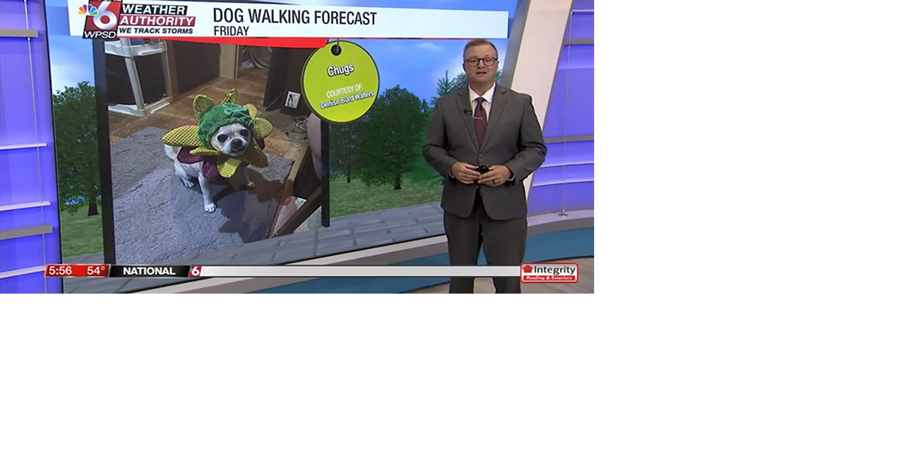 Dog walking forecast 8.29.25 | Weather