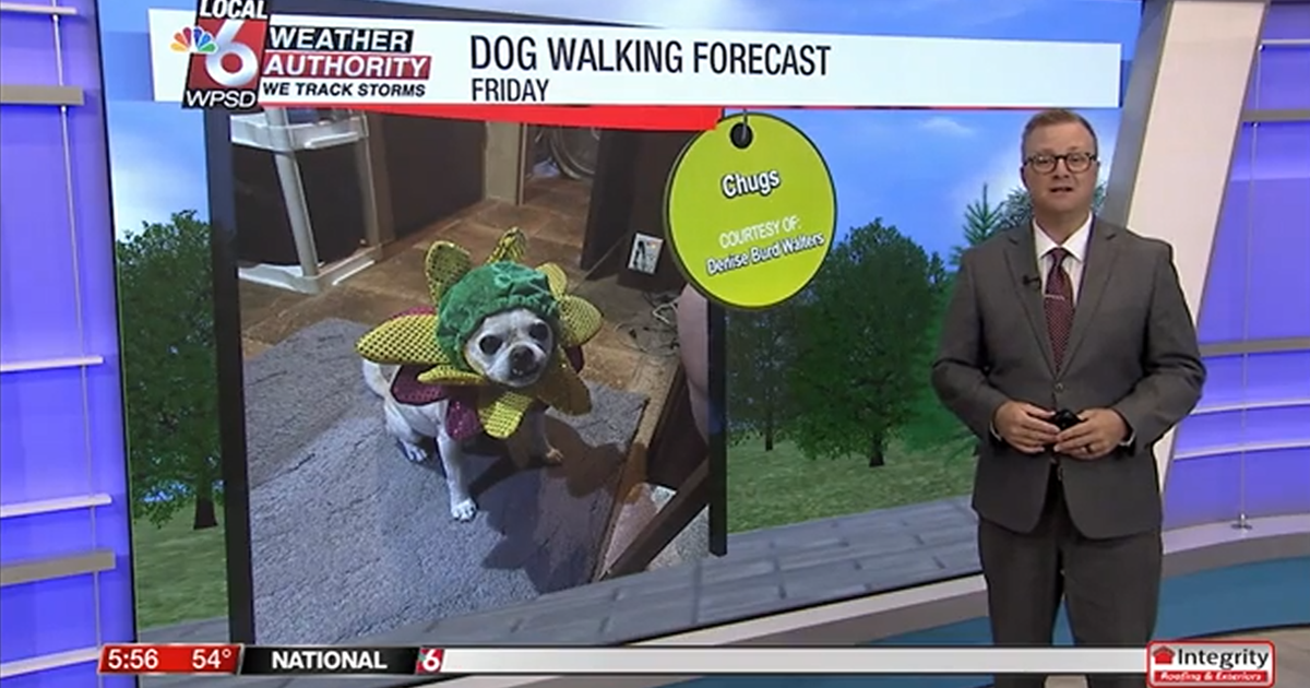 Dog walking forecast 8.29.25 | Weather Dog walking forecast 8.29.25 | Weather