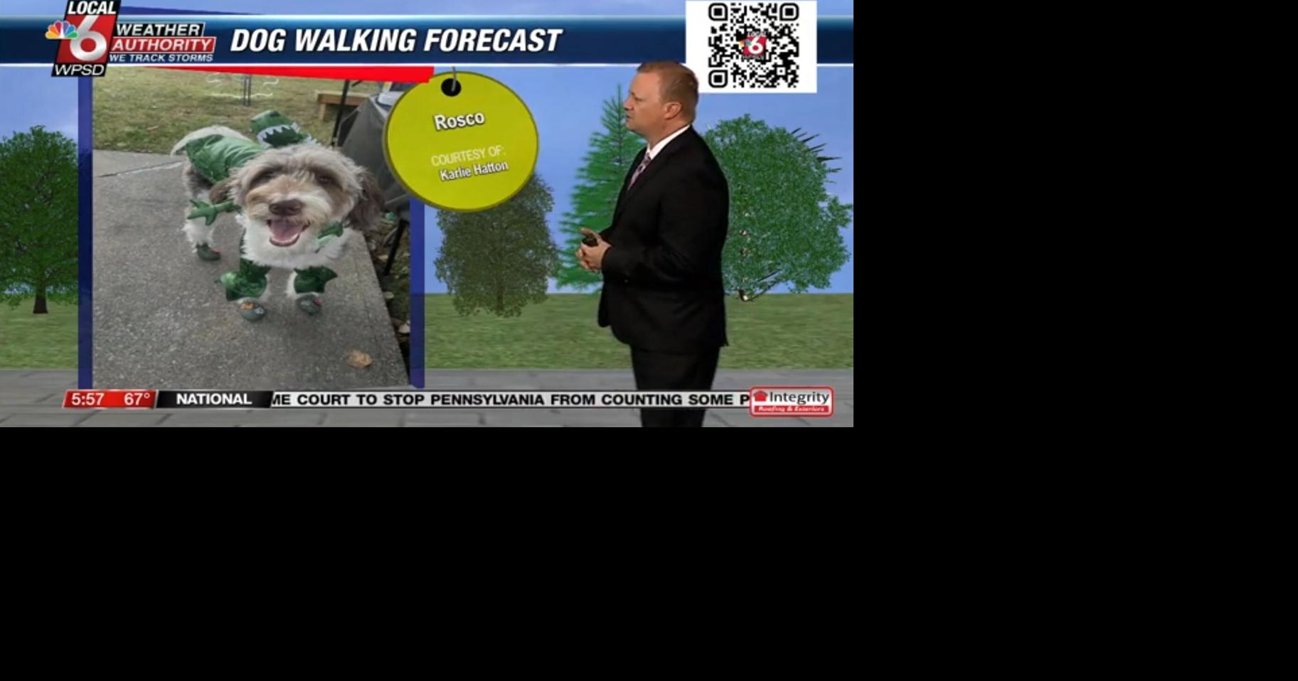 Dog walking forecast 10.29.24
