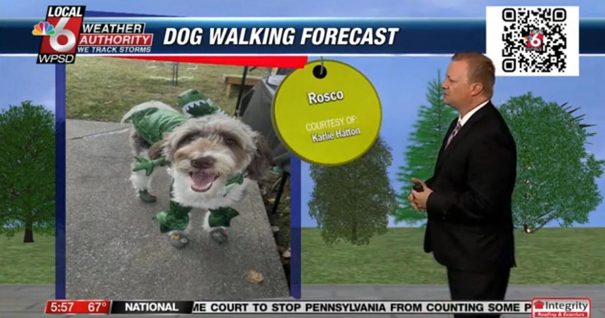 Dog walking forecast 10.29.24 Dog walking forecast 10.29.24