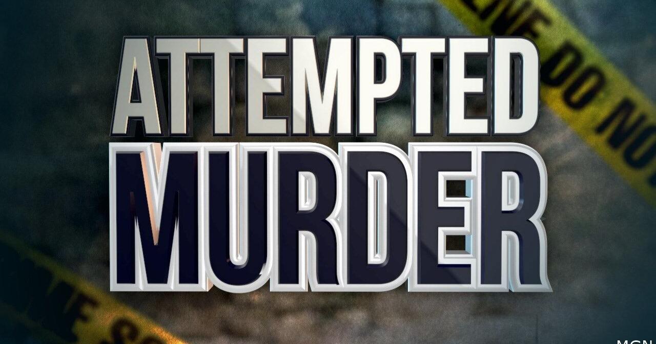 Southern Illinois man pleads guilty to February murder attempt - Vimarsana News