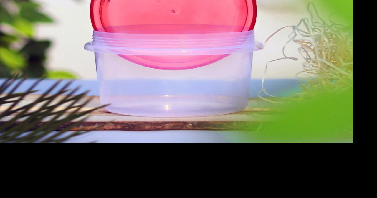 ‘The party is over’ as Tupperware files for bankruptcy after years of ...