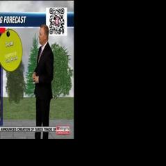 Dog walking forecast 7.8.24 | Weather