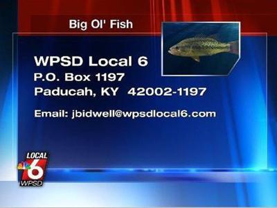 5 12 Big Ol Fish Big Ol Fish Wpsd Local 6
