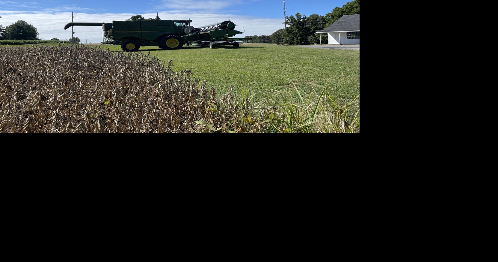 Farmers urge the public to exercise caution during harvest season ...