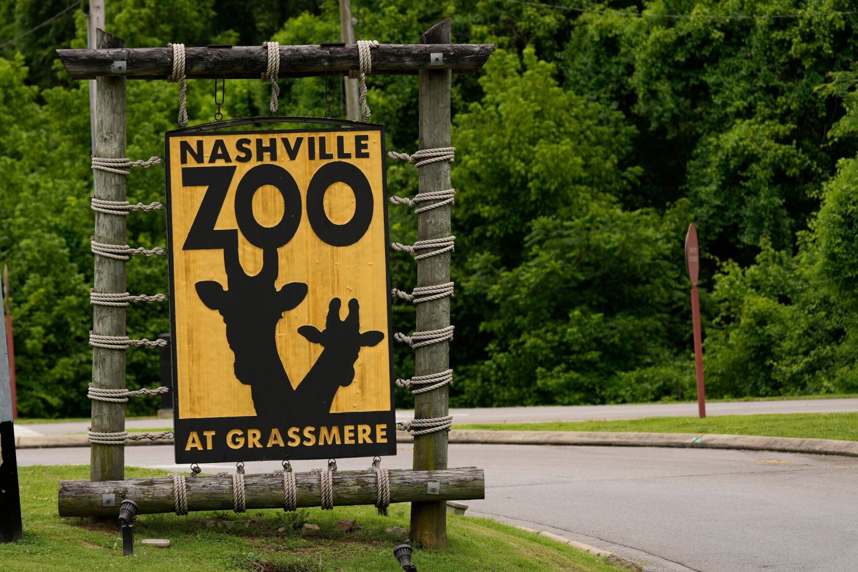 The Nashville Zoo has become an unlikely battleground in America’s data ...