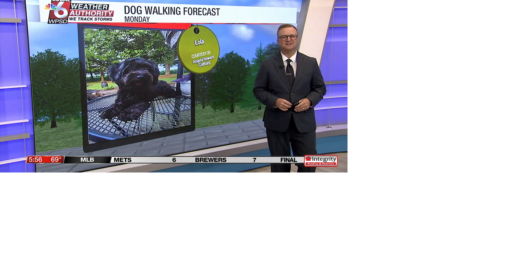 Dog walking forecast 8.11.25