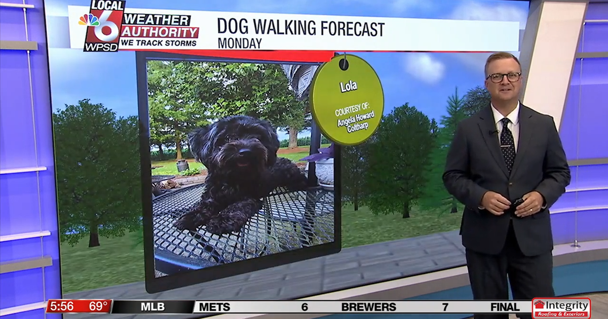 Dog walking forecast 8.11.25 Dog walking forecast 8.11.25