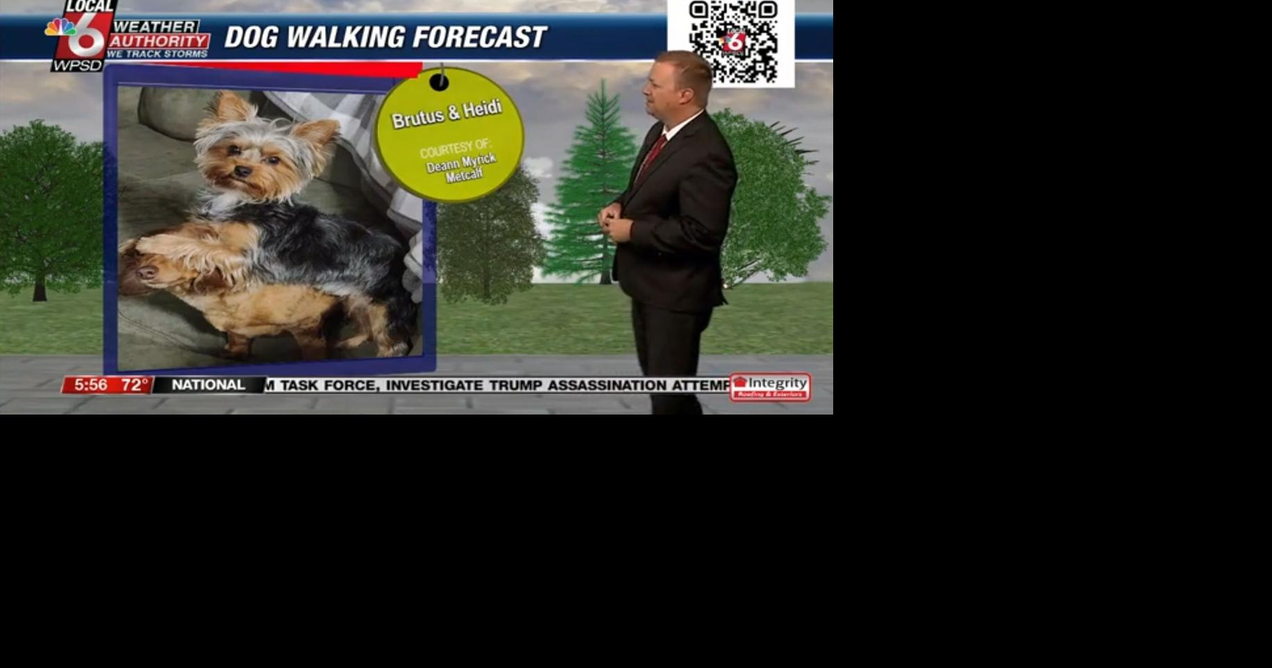 Dog walking forecast 7.25.24