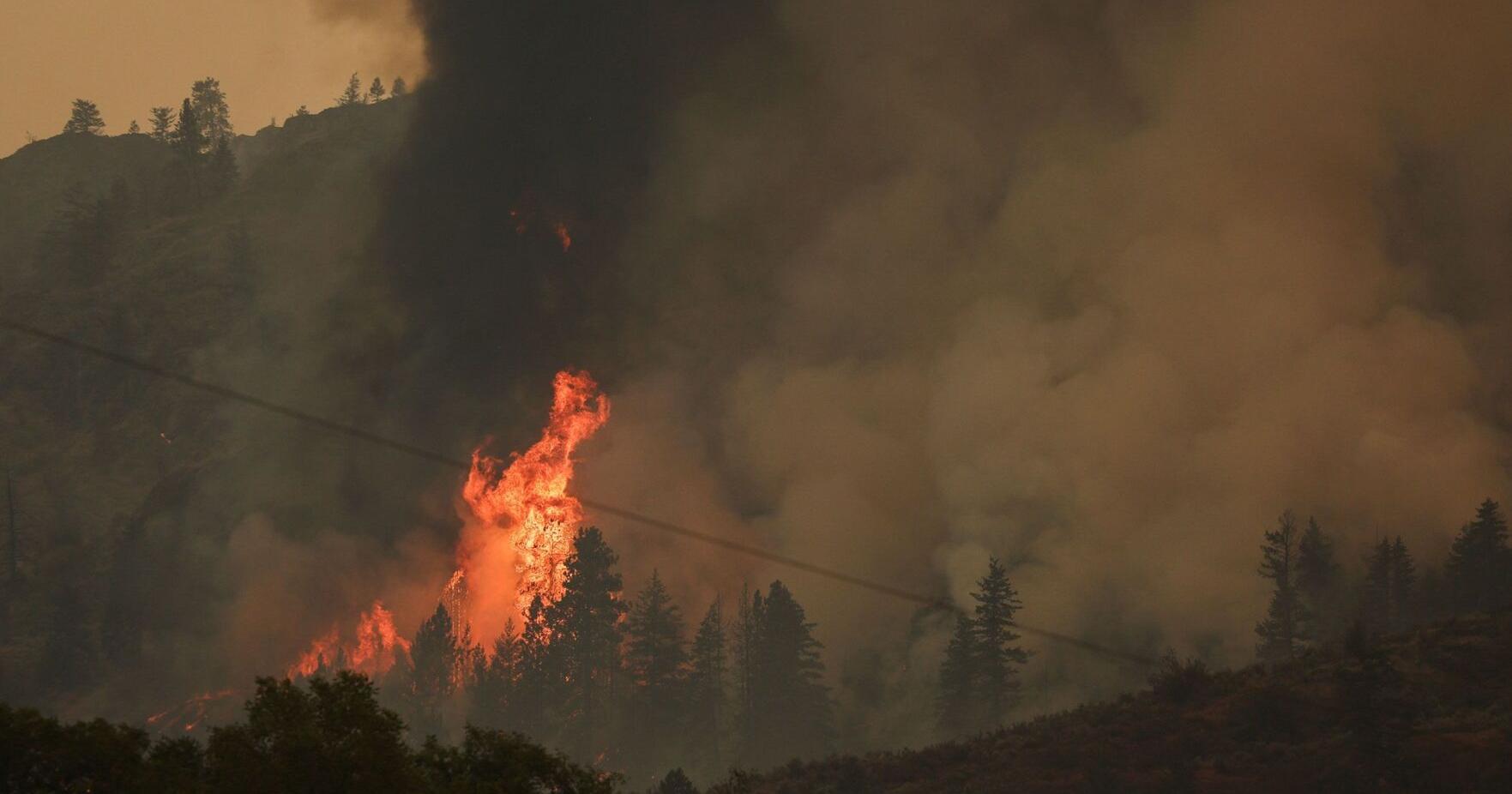 Massive fire burning in California and Nevada is spawning dangerous 'fire whirls' | <span class="tnt-section-tag no-link">News</span> - Vimarsana News