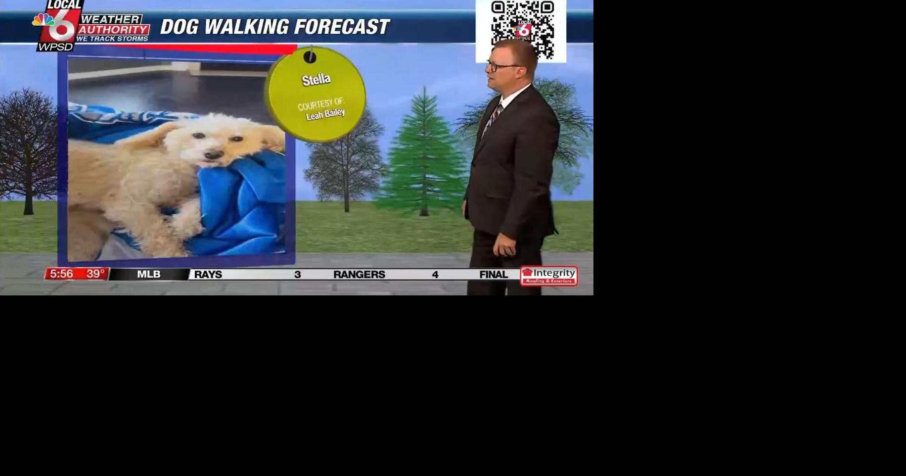 Dog walking forecast 4.7.25 | Weather