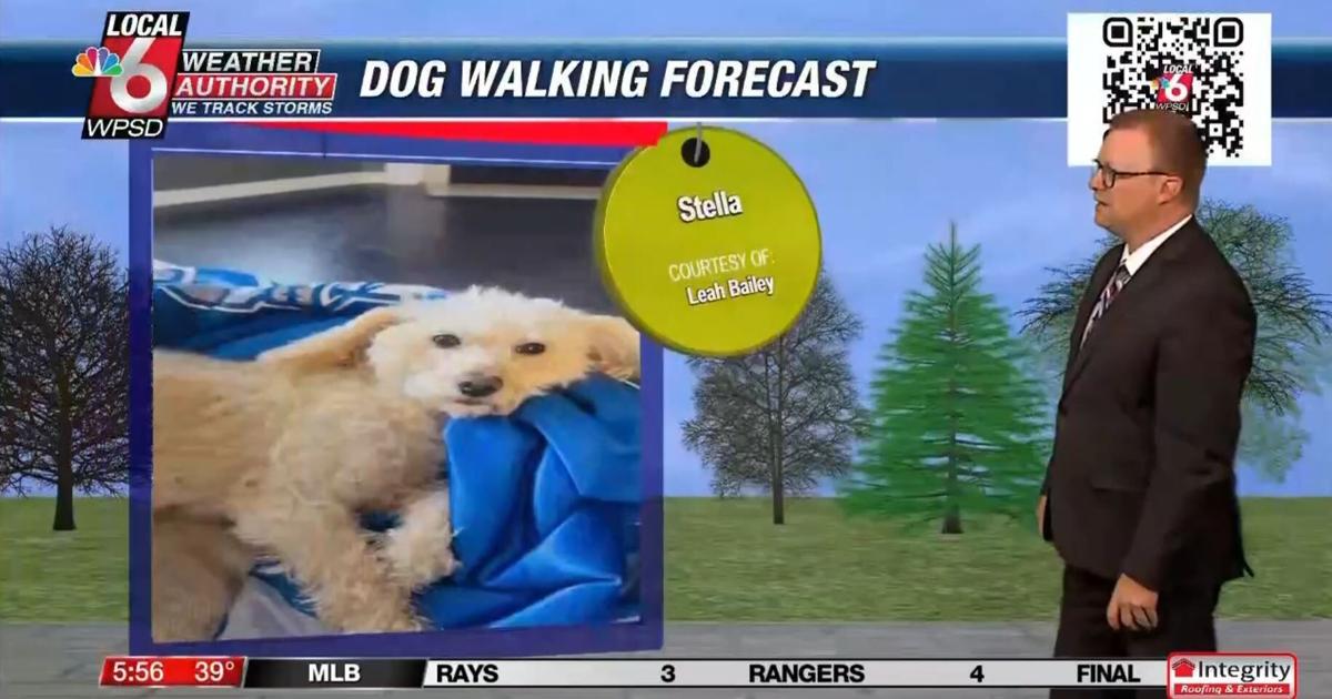 Dog walking forecast 4.7.25 | Weather Dog walking forecast 4.7.25 | Weather