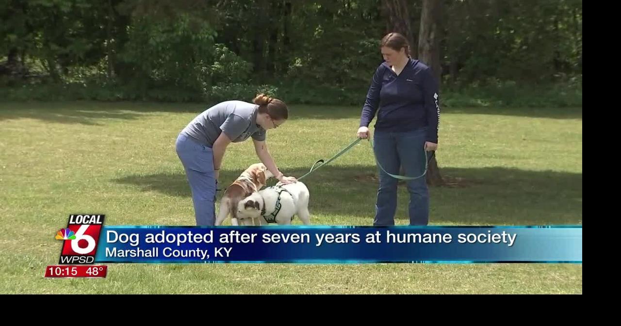 Marshall County Humane Society hosts sendoff for longtime stay 'Patches'