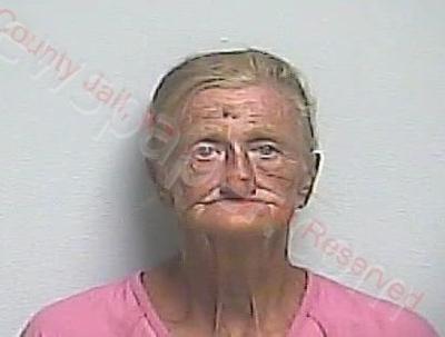 Police Arrest Woman Accused Of Soliciting Money On Private