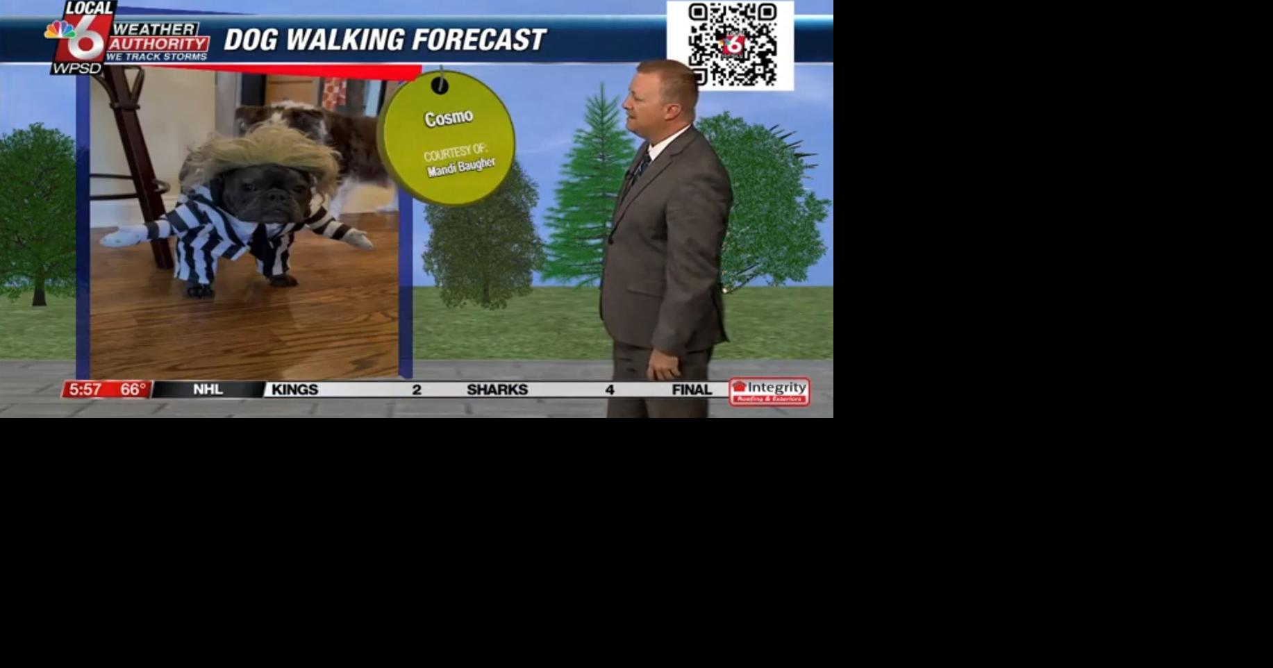 Dog walking forecast 10.30.24 | Weather