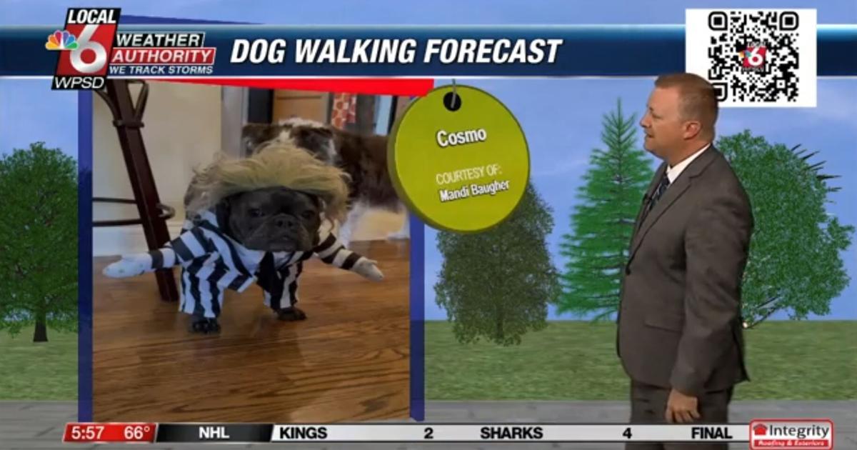 Dog walking forecast 10.30.24 | Weather Dog walking forecast 10.30.24 | Weather