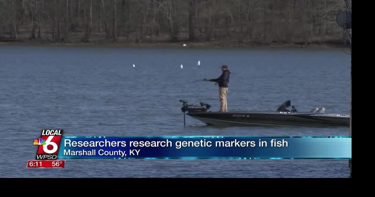 Researchers research genetic markers in fish | Ott | WPSD Local 6