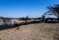 What we know so far about the plane crash that killed 11 European tourists near one of Peru’s most popular sites | News www.wpsdlocal6.com What we know so far about the plane crash that killed 11 European tourists near one of Peru’s most popular sites | News www.wpsdlocal6.com