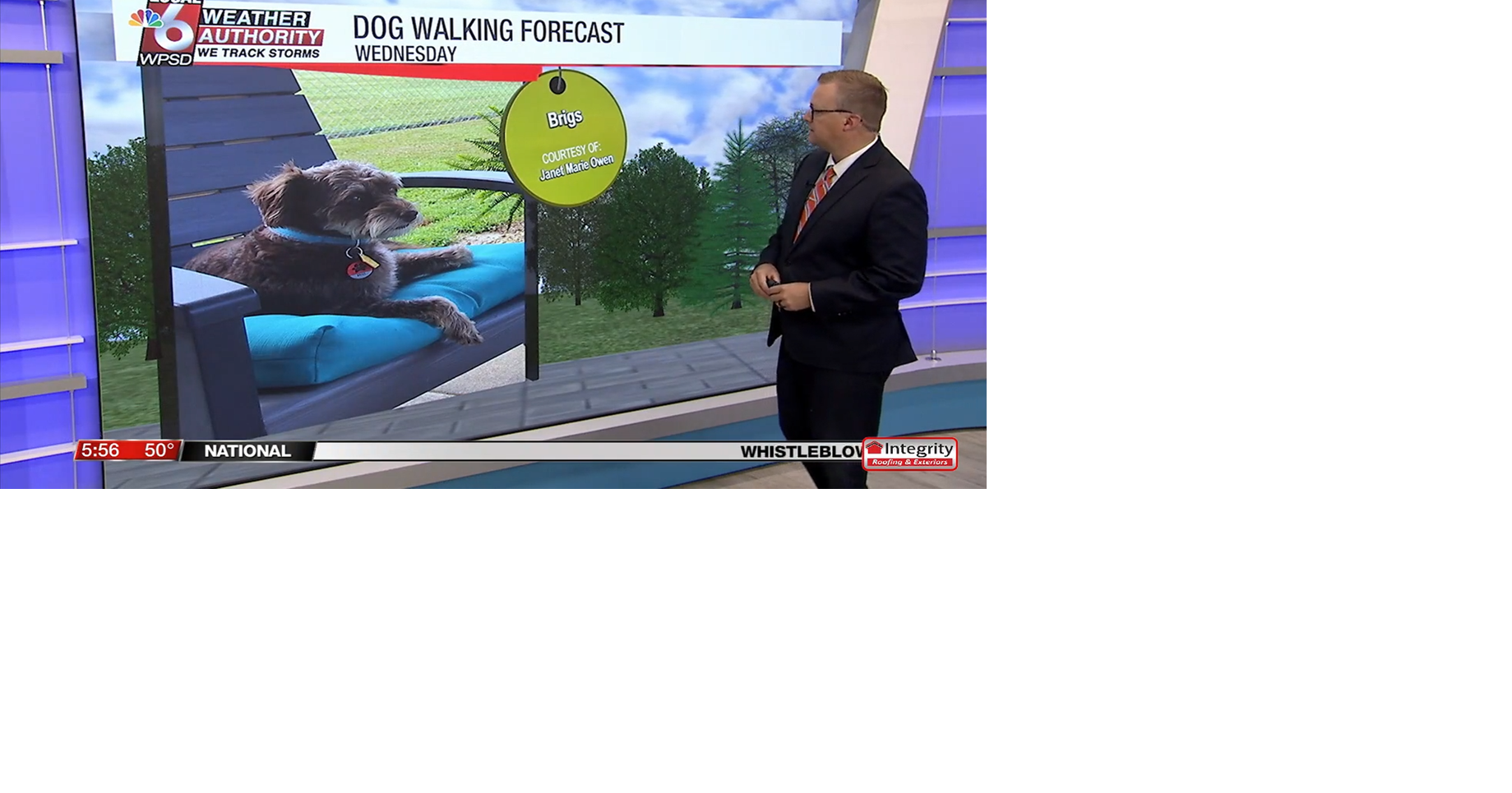 Dog walking forecast 8.27.25