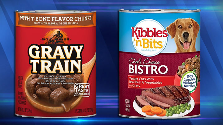 is gravy train dry dog food recall