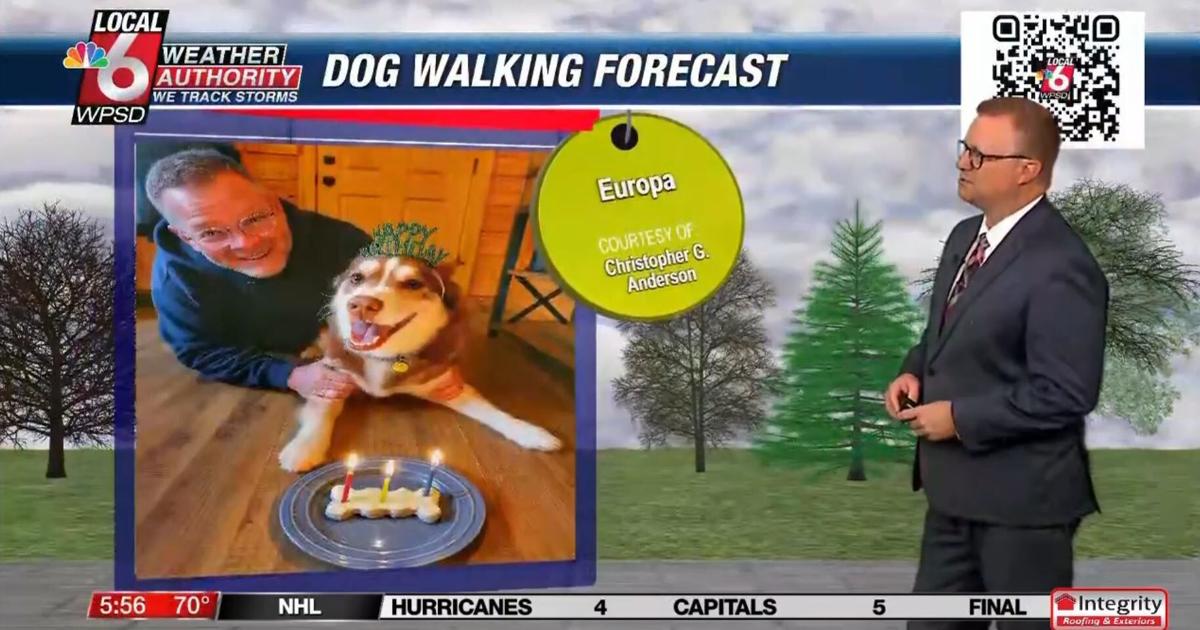 Dog walking forecast 4.11.25 | Weather Dog walking forecast 4.11.25 | Weather