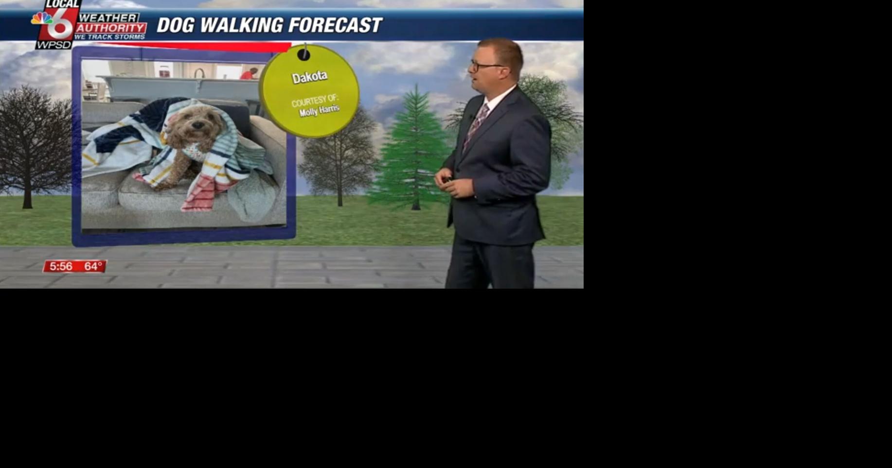 Dog walking forecast 5.14.25