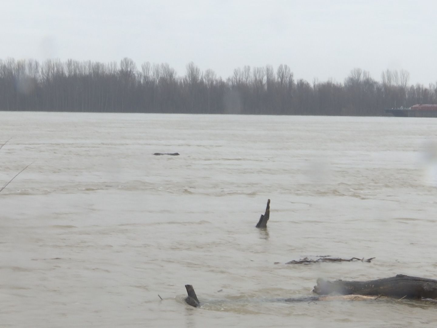 More floodgates up in Cairo IL as river levels continue to rise