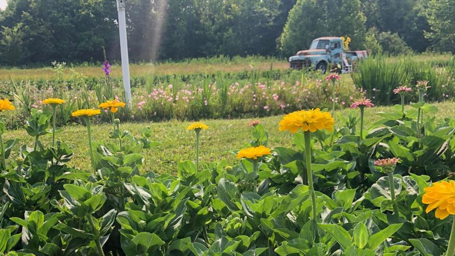 Sugar Creek Flower Farm opens doors for the first weekend of the season