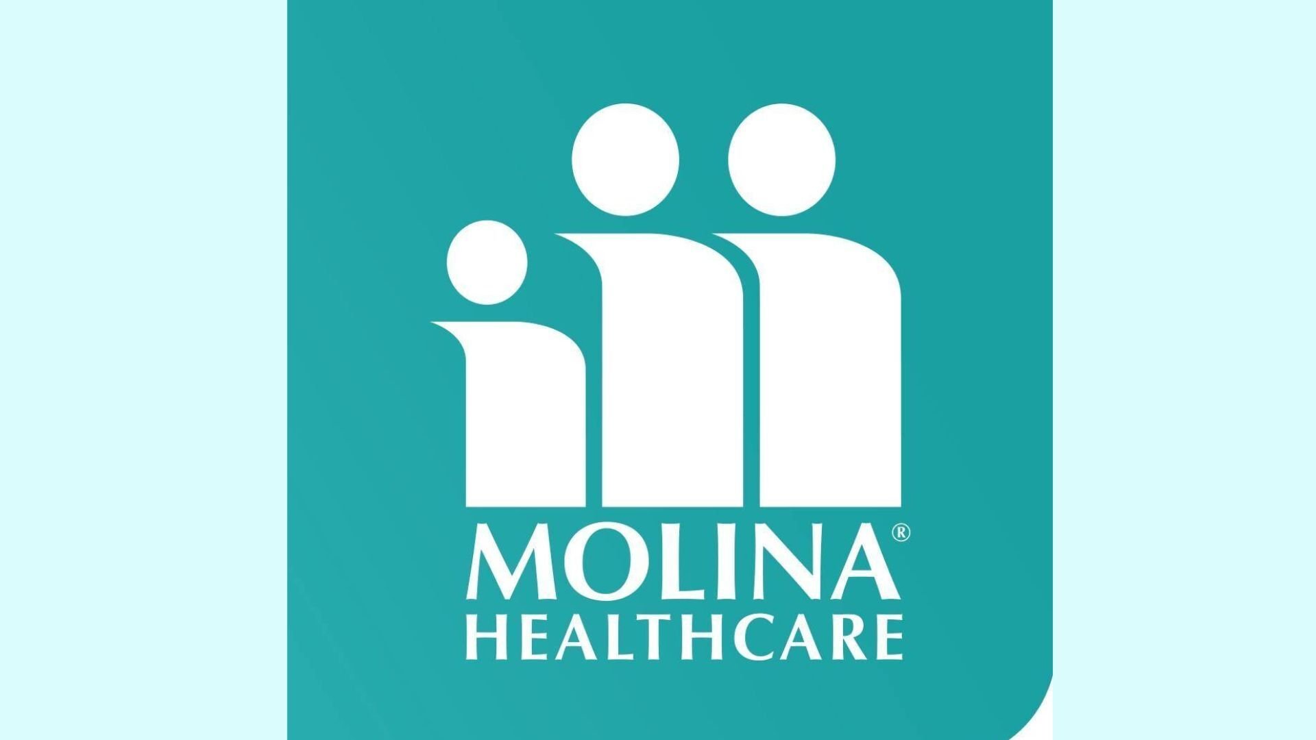 Molina healthcare 2024 free car seat