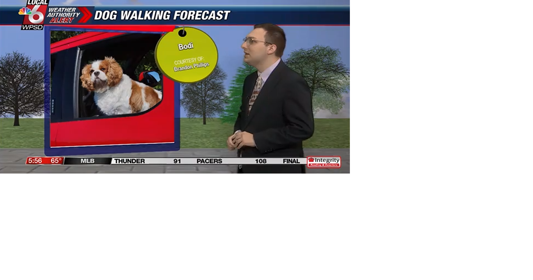 Dog walking forecast 6.20.25
