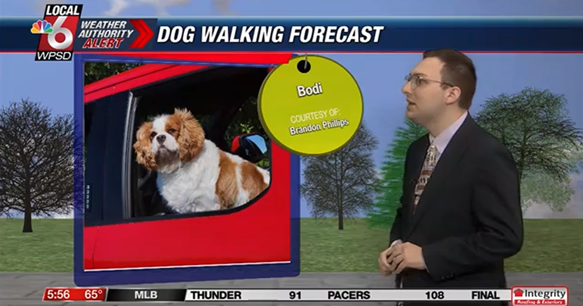 Dog walking forecast 6.20.25 Dog walking forecast 6.20.25