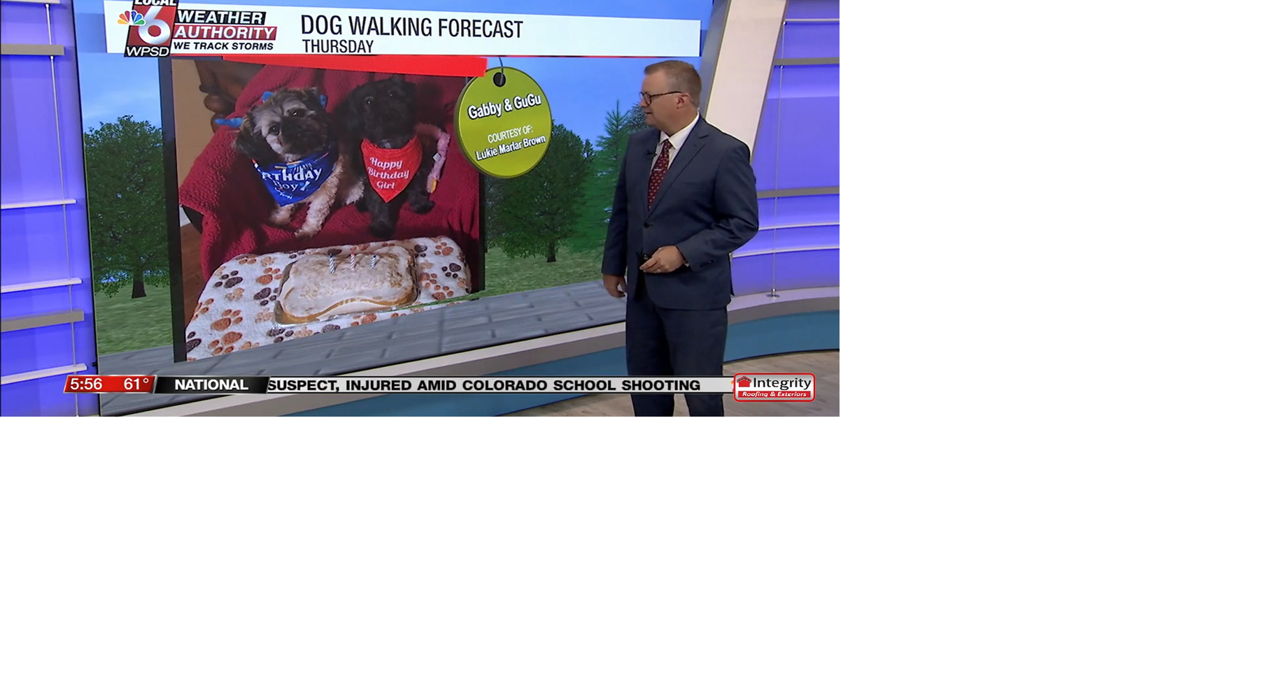 Dog walking forecast 9.11.25