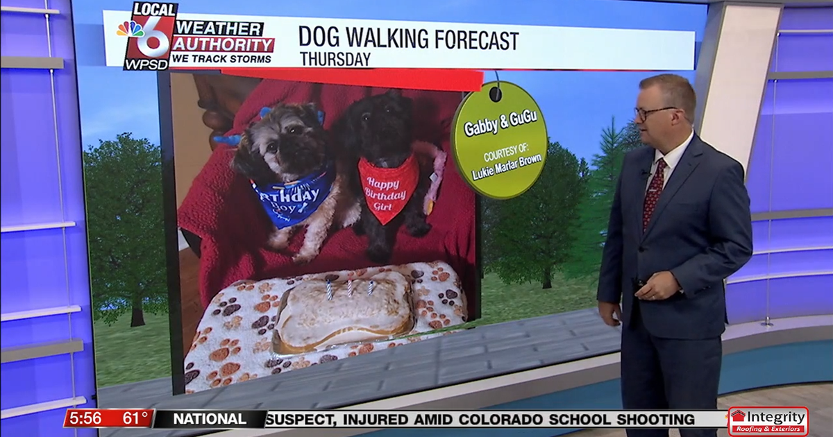 Dog walking forecast 9.11.25 Dog walking forecast 9.11.25