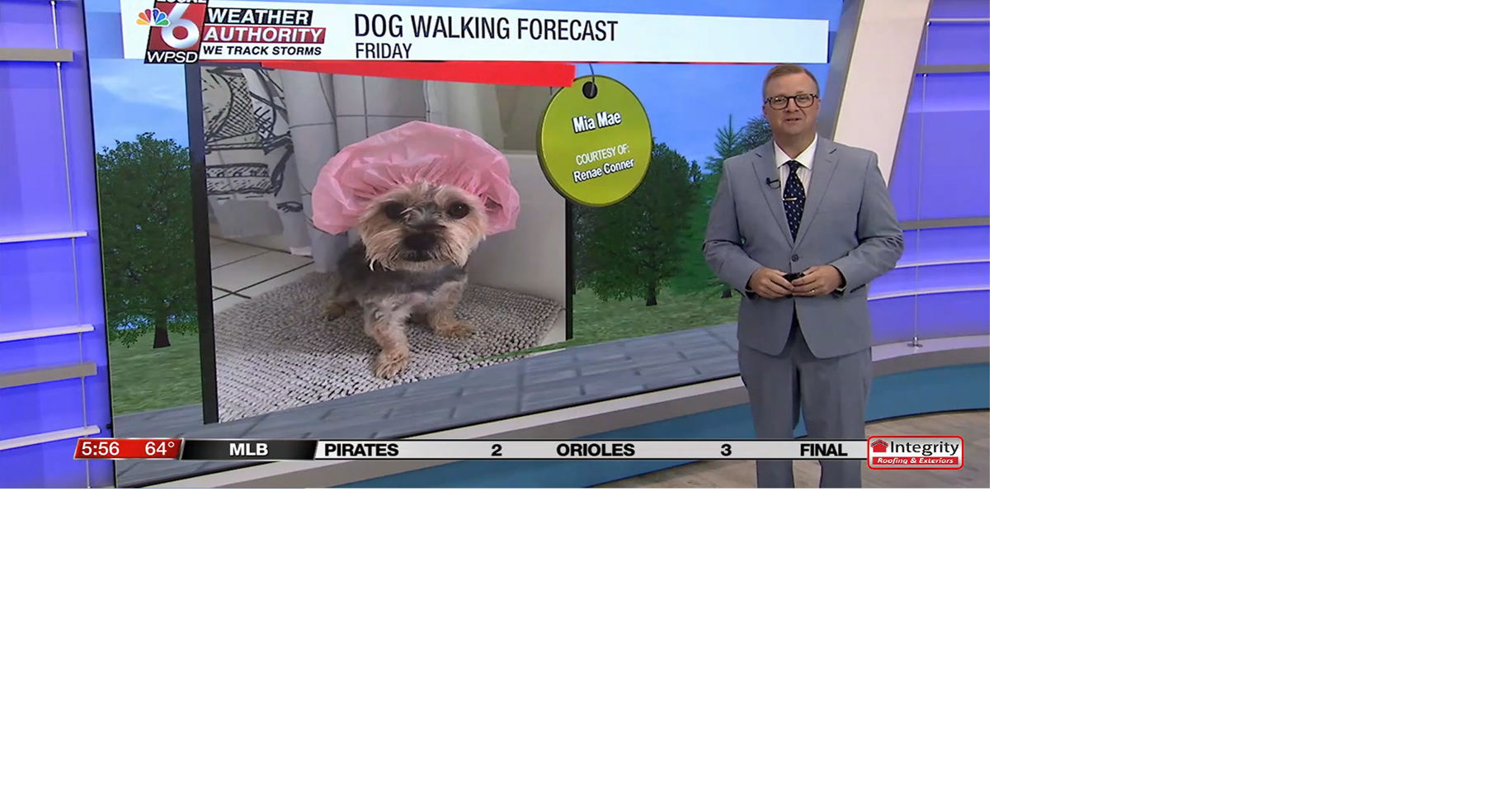 Dog walking forecast 9.12.25