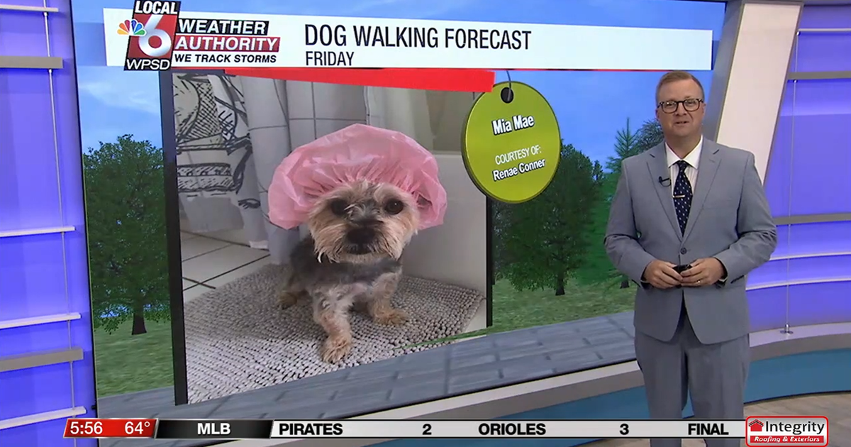 Dog walking forecast 9.12.25 Dog walking forecast 9.12.25