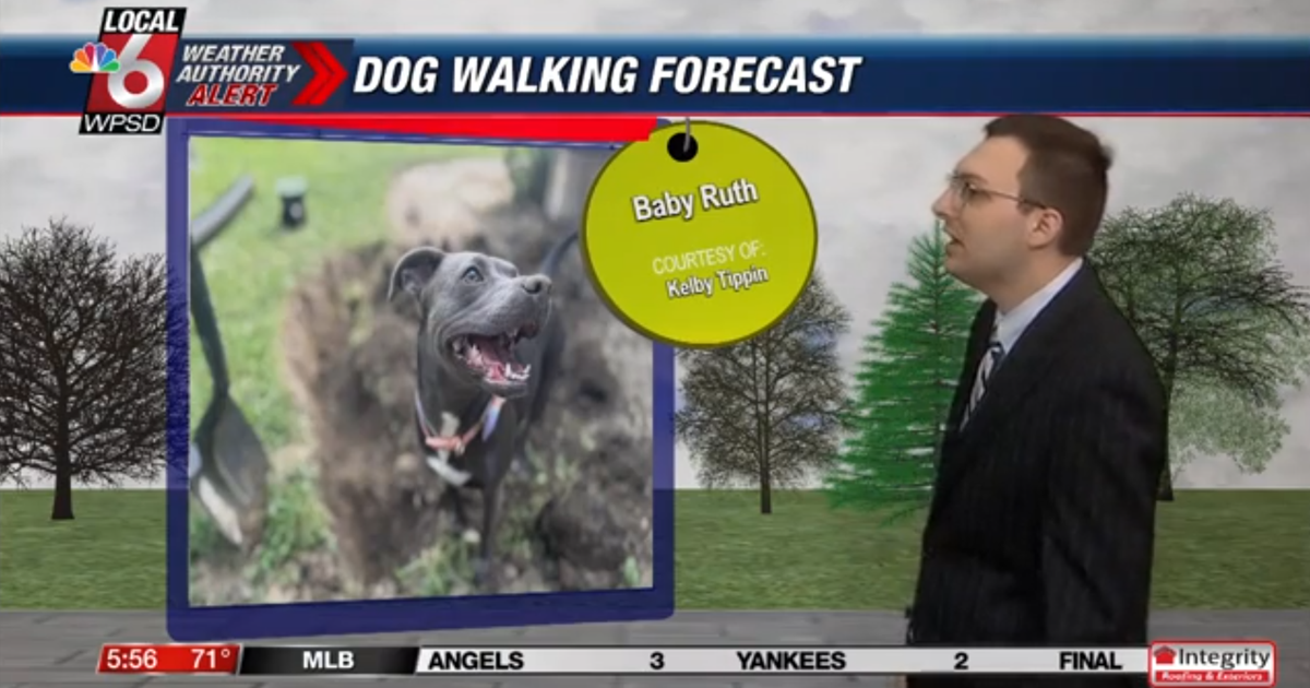 Dog walking forecast 6.19.25 Dog walking forecast 6.19.25